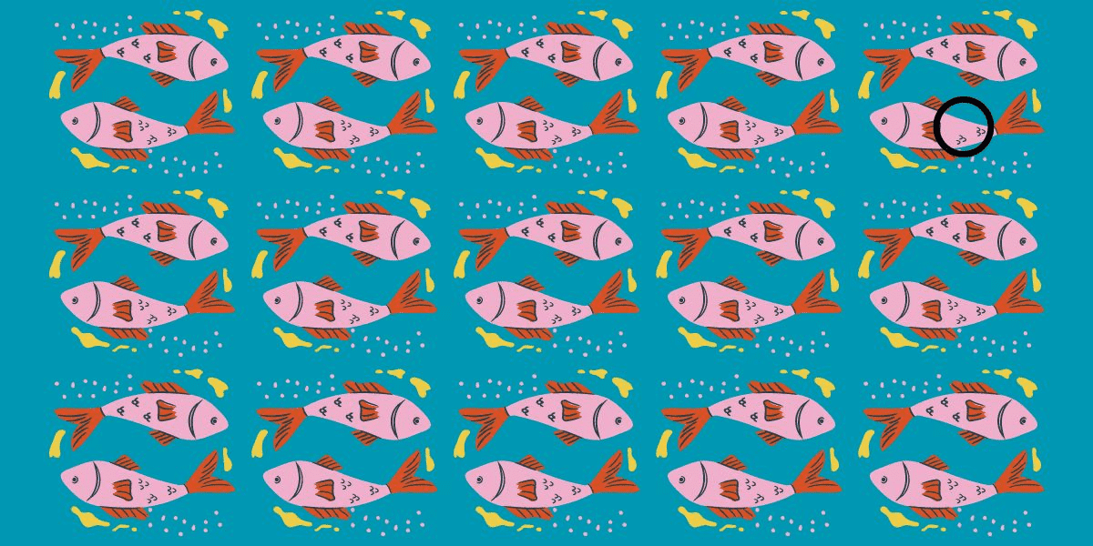 Nur 5 % können diese Herausforderung meistern: Finden Sie den einen oder anderen Fisch, der sich in weniger als 5 Sekunden abmeldet – können Sie ihn erkennen?