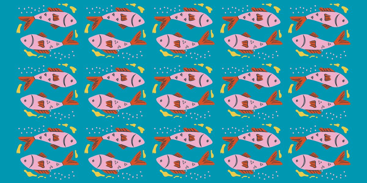 Nur 5 % können diese Herausforderung meistern: Finden Sie den einen oder anderen Fisch, der sich in weniger als 5 Sekunden abmeldet – können Sie ihn erkennen?