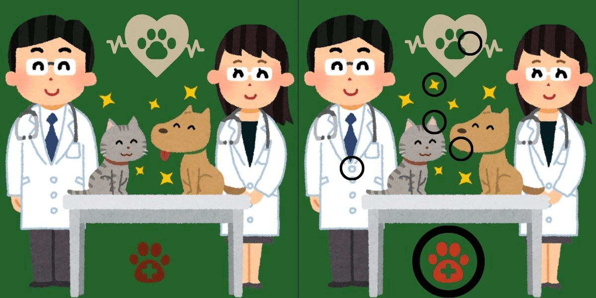 Herausforderung „Erkenne den Unterschied“: Rätsel um die Tierklinik! Finden Sie die 6 raffinierten Änderungen in weniger als 11 Sekunden – sind Ihre Augen dem Test gewachsen?