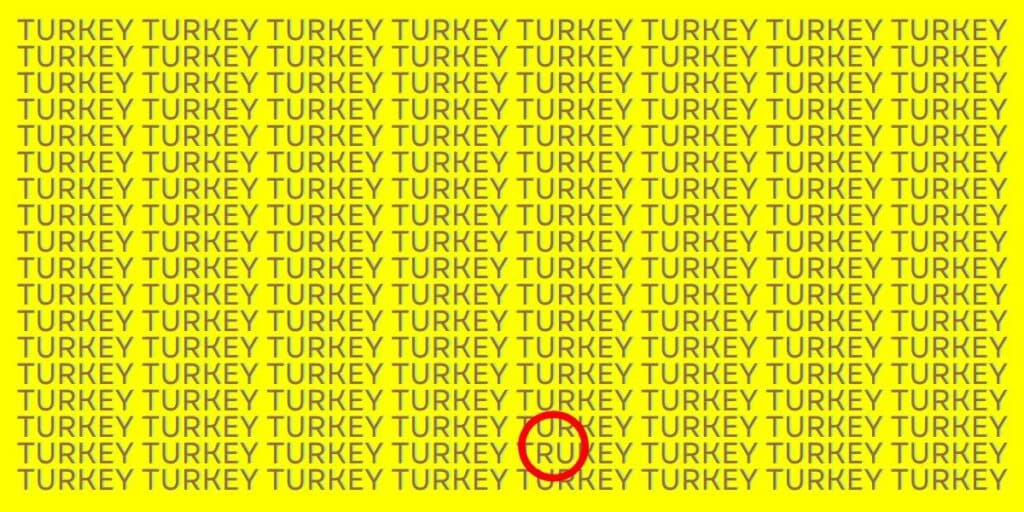 Can you find the odd turkey in this Christmas brain teaser puzzle (2)