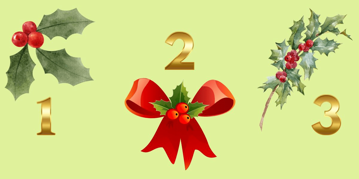 Entdecken Sie Ihre Persönlichkeit mit dem heutigen unterhaltsamen Persönlichkeitstest: Der Holly-Branch-Test enthüllt Ihre leidenschaftliche, ruhige oder distanzierte Natur