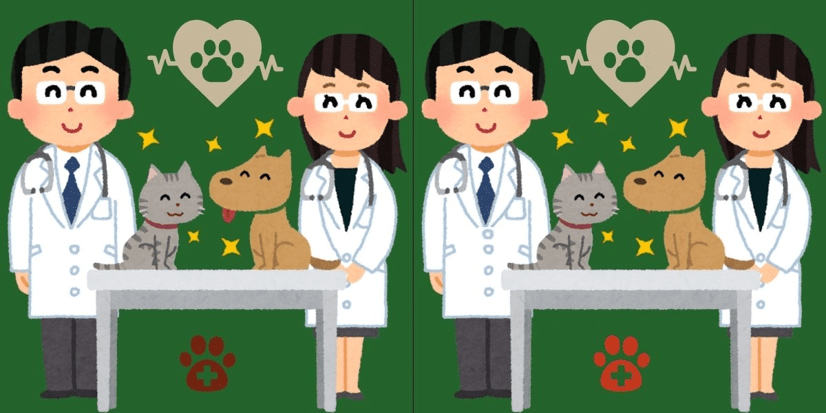 Herausforderung „Erkenne den Unterschied“: Rätsel um die Tierklinik! Finden Sie die 6 raffinierten Änderungen in weniger als 11 Sekunden – sind Ihre Augen dem Test gewachsen?