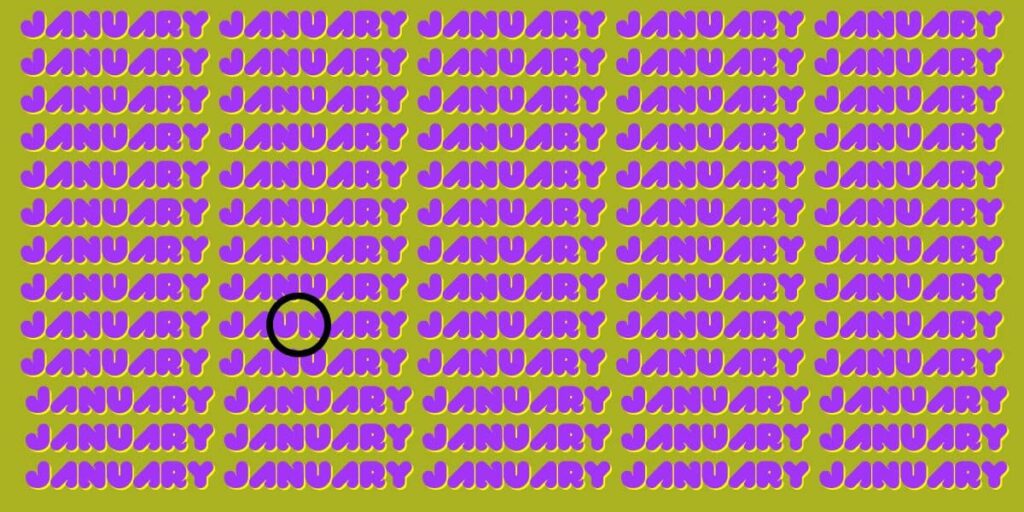 Can You Spot the Typo in January Test Your Attention to Detail! (3)