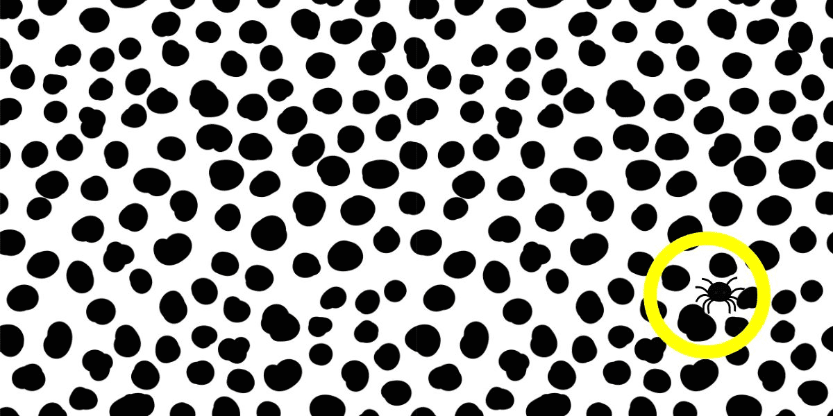 Finden Sie die Spider Brain Teaser Challenge: Beweisen Sie Ihren hohen IQ in weniger als 6 Sekunden, indem Sie den schwer fassbaren Arachnid unter den Stellen entdecken!
