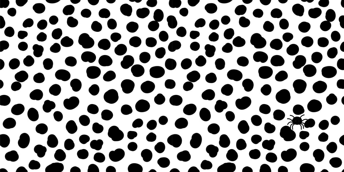 Finden Sie die Spider Brain Teaser Challenge: Beweisen Sie Ihren hohen IQ in weniger als 6 Sekunden, indem Sie den schwer fassbaren Arachnid unter den Stellen entdecken!