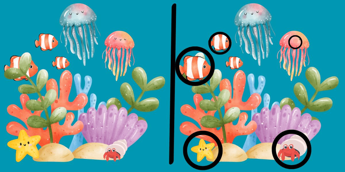 Erstellen Sie die Differenzherausforderung: Tauchen Sie in dieses Unterwasserrättel mit zwei nahezu identischen Ozeanszenen ein - finden Sie alle 5 Abweichungen in weniger als 12 Sekunden!