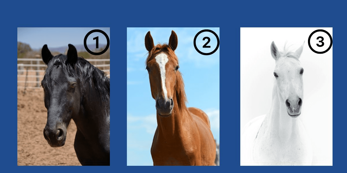 Welches Pferd spricht zu Ihnen? Enthüllen Sie Ihr dominantes Merkmal im heutigen lustigen Persönlichkeitstest!